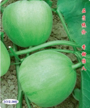 綠寶石
