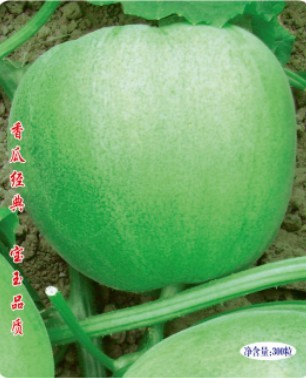 賽寶玉